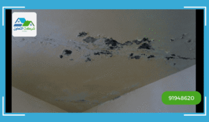 كيف يسبب التسرب تلف للجدران والدهانات والأسقف؟