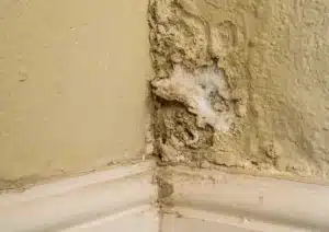 علامات رطوبة الجدران وتأثيرها